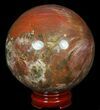 Colorful Petrified Wood Sphere #49740-1